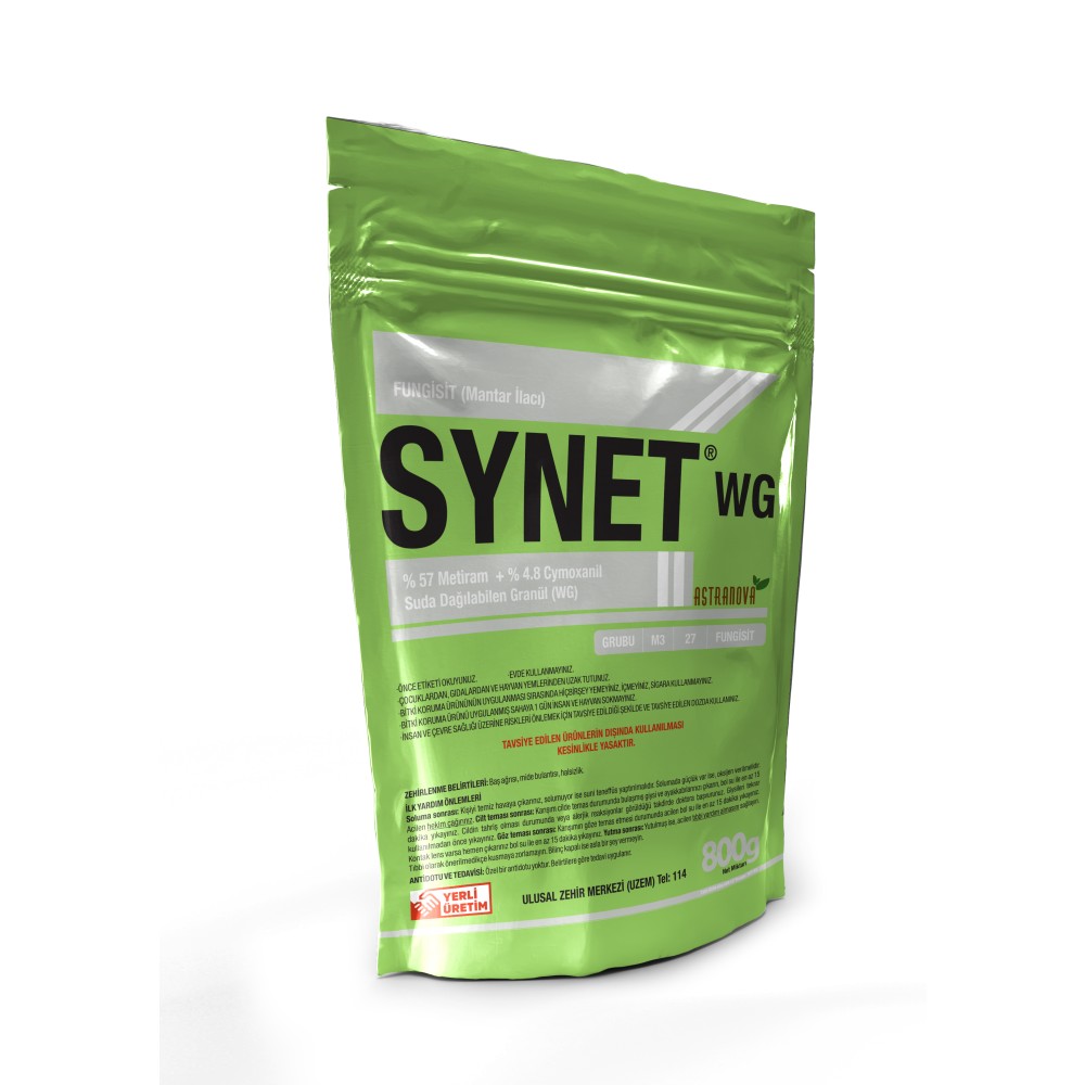 SYNET WG