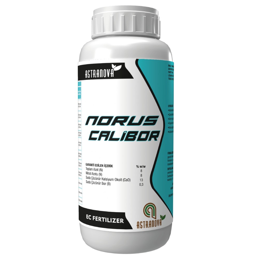 NORUS CALİBOR