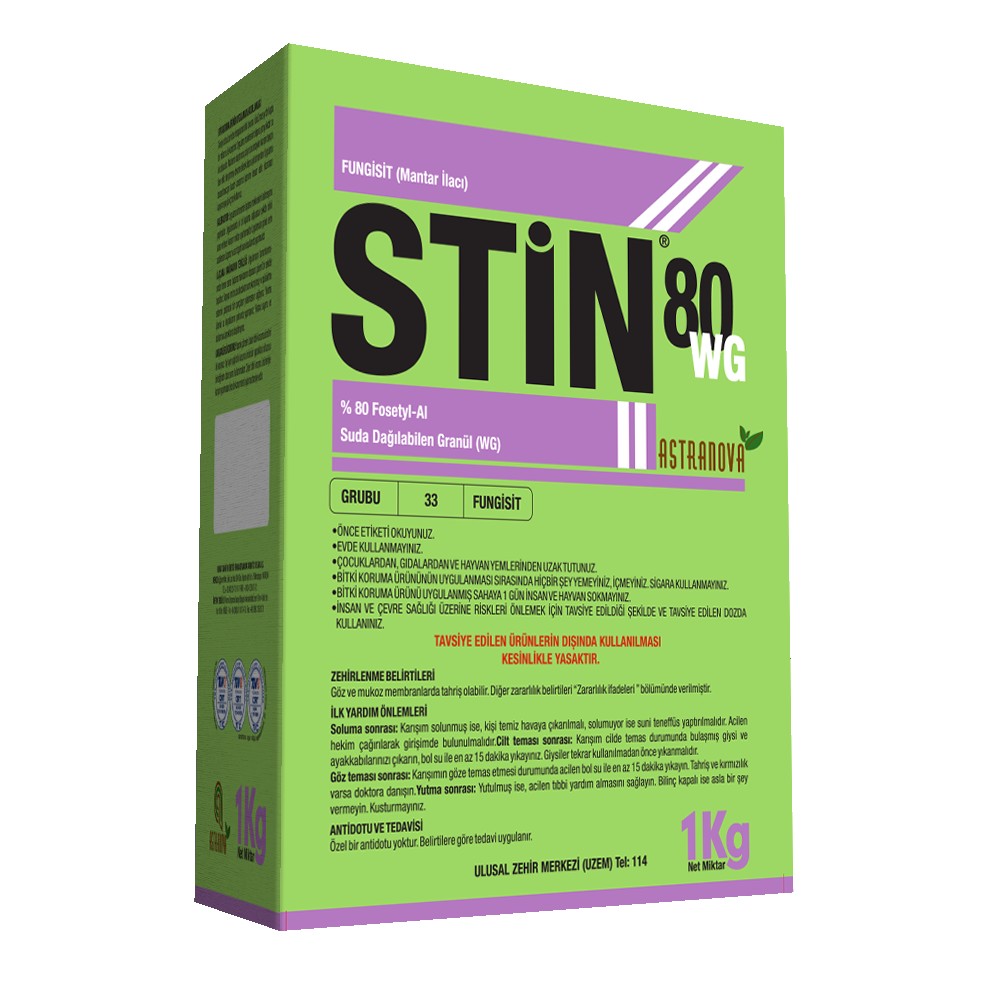 STİN 80 WG